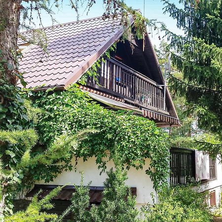 3 Bedroom Stunning Home In Dziemiany Ngoại thất bức ảnh